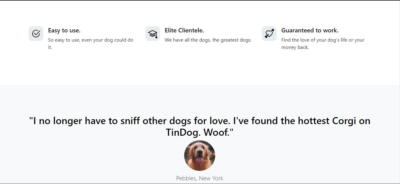 Ikenna's Tindog project
